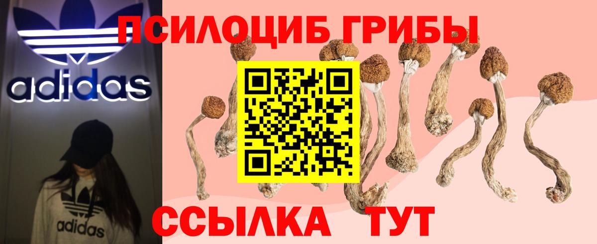 Псилоцибиновые грибы Psilocybine cubensis  Псилоцибиновые грибы Magic Shrooms  Самара  Вход с VPN 